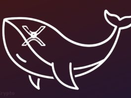 XRP Whales Are Moving Millions From Binance as Looming Litigation Causes Record Outflows