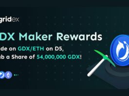 Gridex Protocol's GDX Token Surges by Over 400% Within 24 Hours After Listing on D5 Exchange