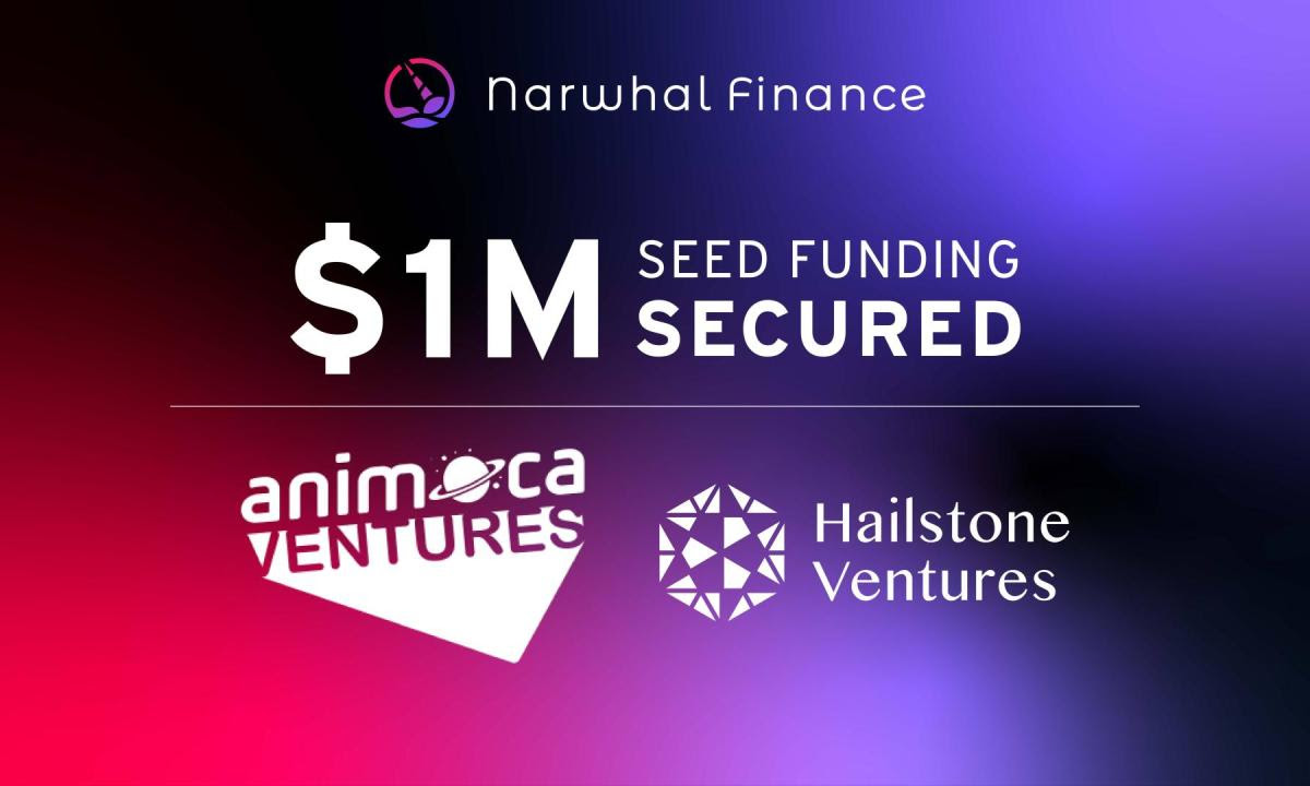 Narwhal Finance Announces $1M Seed Round Funding Led by Animoca Ventures