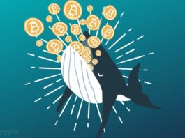 Satoshi-Era Bitcoin Whale Moves $1.2 Million Worth Of BTC After 13 Years
