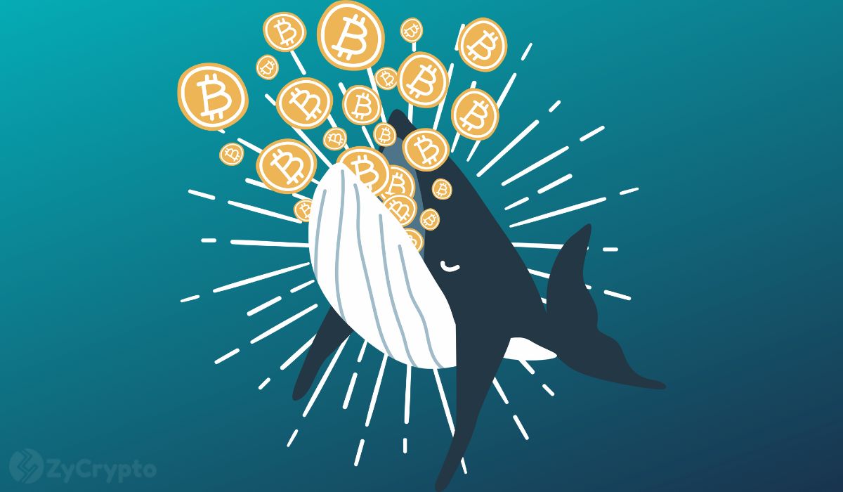 Satoshi-Era Bitcoin Whale Moves $1.2 Million Worth Of BTC After 13 Years