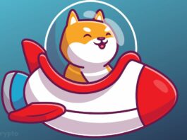 Shiba Inu Community Anticipates Major Updates: Rocket Pond Launch, SHIB Metaverse, and Shibarium Mainnet