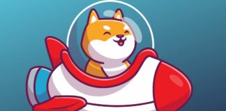 Shiba Inu Celebrates Sixth Anniversary Amid Market Opportunity, SHIB Price Rebound, and Whale Accumulation Shiba Inu Community Anticipates Major Updates: Rocket Pond Launch, SHIB Metaverse, and Shibarium Mainnet