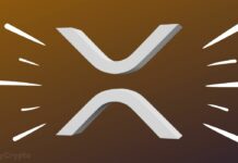 Ripple’s XRP Credibility Skyrockets As Spot Filing Soars Bullish For XRP; Arrington Capital Submits SEC Filing for XRP Hedge Fund