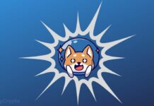 Vitalik Buterin Breaks Silence on the 500 Trillion Shiba Inu (SHIB) Donation from Ryoshi Shiba Inu Primed For Huge Price Outburst After Shibarium Beta Bridge Goes Live For Public Testing