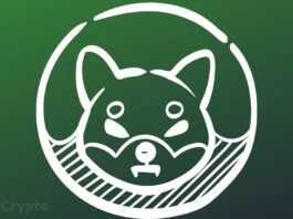 Shiba Inu Sees Trillions In Accumulation Spree By Mysterious Whales As $0.001 SHIB Price Beckons