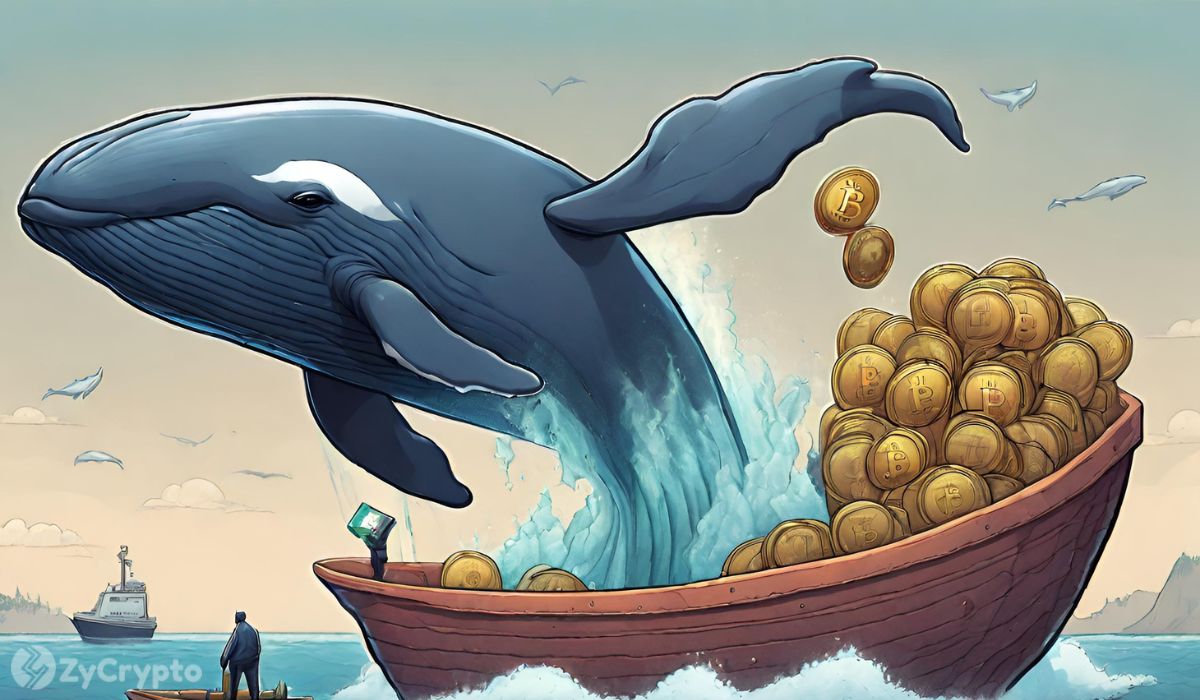 Analysts Warn of Huge Bitcoin Price Correction as Whales Offload Stash