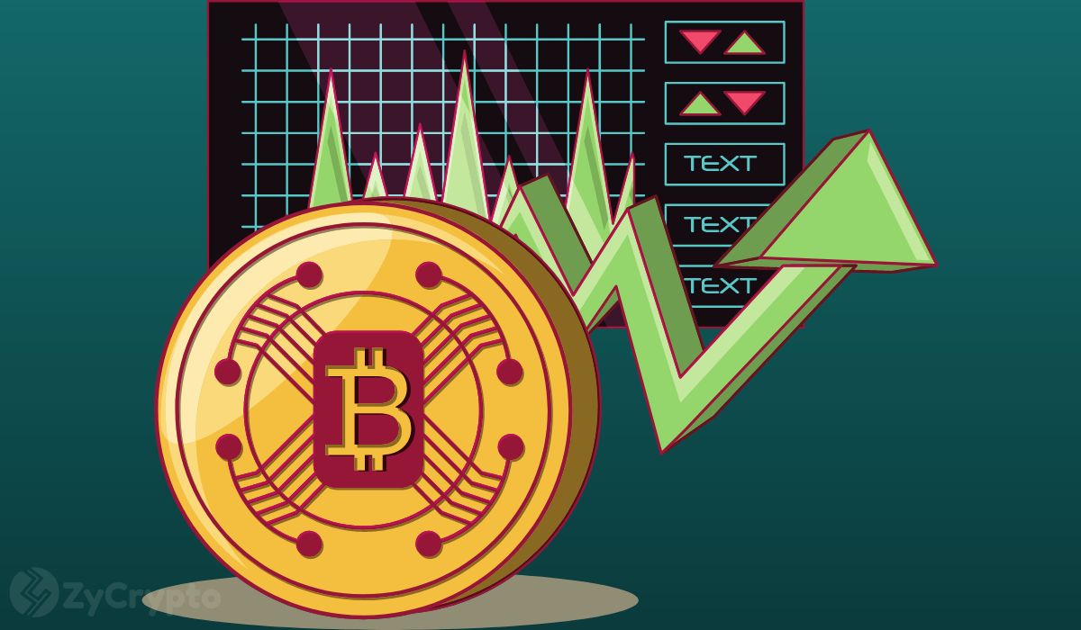 Bitcoin’s Ascent In Coming Months ‘Will Be One For The Record Books’ — BTC Price Analysis