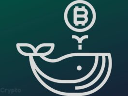 Bitcoin Worth More Than $3.45 Billion Has Exited Crypto Exchanges Amid BTC Whales Going Parabolic