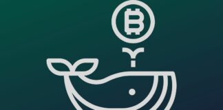 BTC Whales Build Massive Sell Walls At $72,000 As Bitcoin Rally Stalls Bitcoin Worth More Than $3.45 Billion Has Exited Crypto Exchanges Amid BTC Whales Going Parabolic