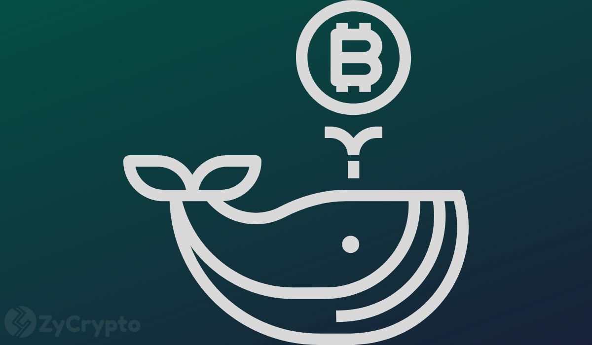 Mysterious Whale Suddenly Transfers 2,000 BTC Mined in 2010, Now Worth Over $140 Million