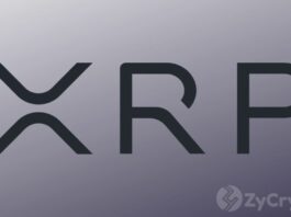 Ripple's XRP Price to $20? — Devs Unveil Super Bullish Proposal That Could Massively Advance XRPL
