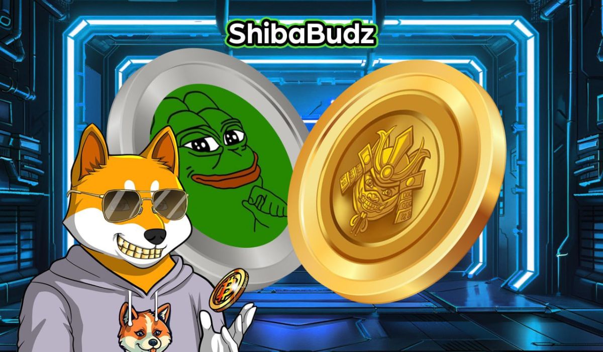 Diving Into PEPE 2024 Potential & New SHIB-Like Cryptocurrency