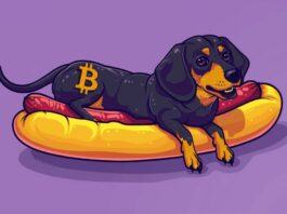Shibarium Transactions Decline as SHIB Whales Shift Capital into New Dog Coins WienerAI and Dogeverse
