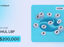 Multipool Debuts LBP on Fjord Foundry, Raising $200,000 Within 24 Hours