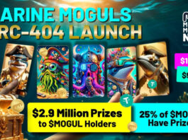 Marine Moguls Launches on the ERC-404 Protocol With $2.9M in Prizes for Token Holders