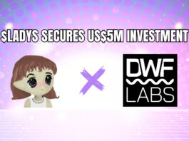 Milady Meme Coin ($LADYS) Announces US$5 Million Investment from DWF Labs
