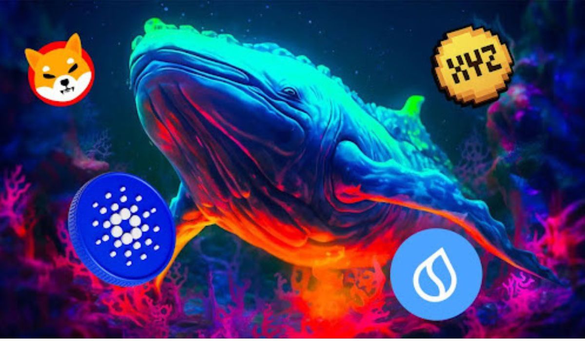 Major Holders Continue Loading XYZVerse (XYZ), ADA, SHIB – Here’s How Far Price Explodes If…