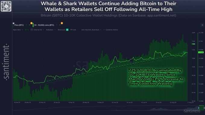 From Wallet to Wheel: Volkswagen Singapore Accepts Bitcoin Payments as Whales & Sharks Scoop 20K BTC