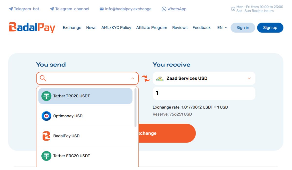 BadalPay Exchange: Full Platform Overview, Features and Benefits