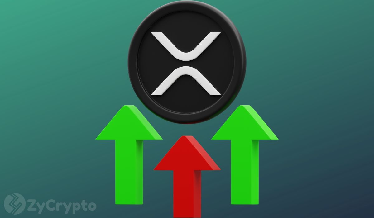 Ripple's XRP millionaires return to trading as market experts indicate expected price target