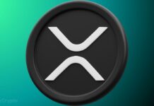 Whales Snap Up 200 Million XRP in 2 Weeks, Signaling Renewed Market Confidence Whales Snap Up 200 Million XRP in 2 Weeks, Signaling Renewed Market Confidence