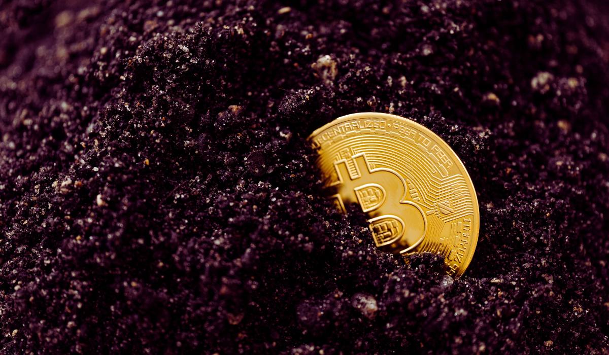 Beyond Bitcoin: Top 5 Multi-Crypto Mining Titans