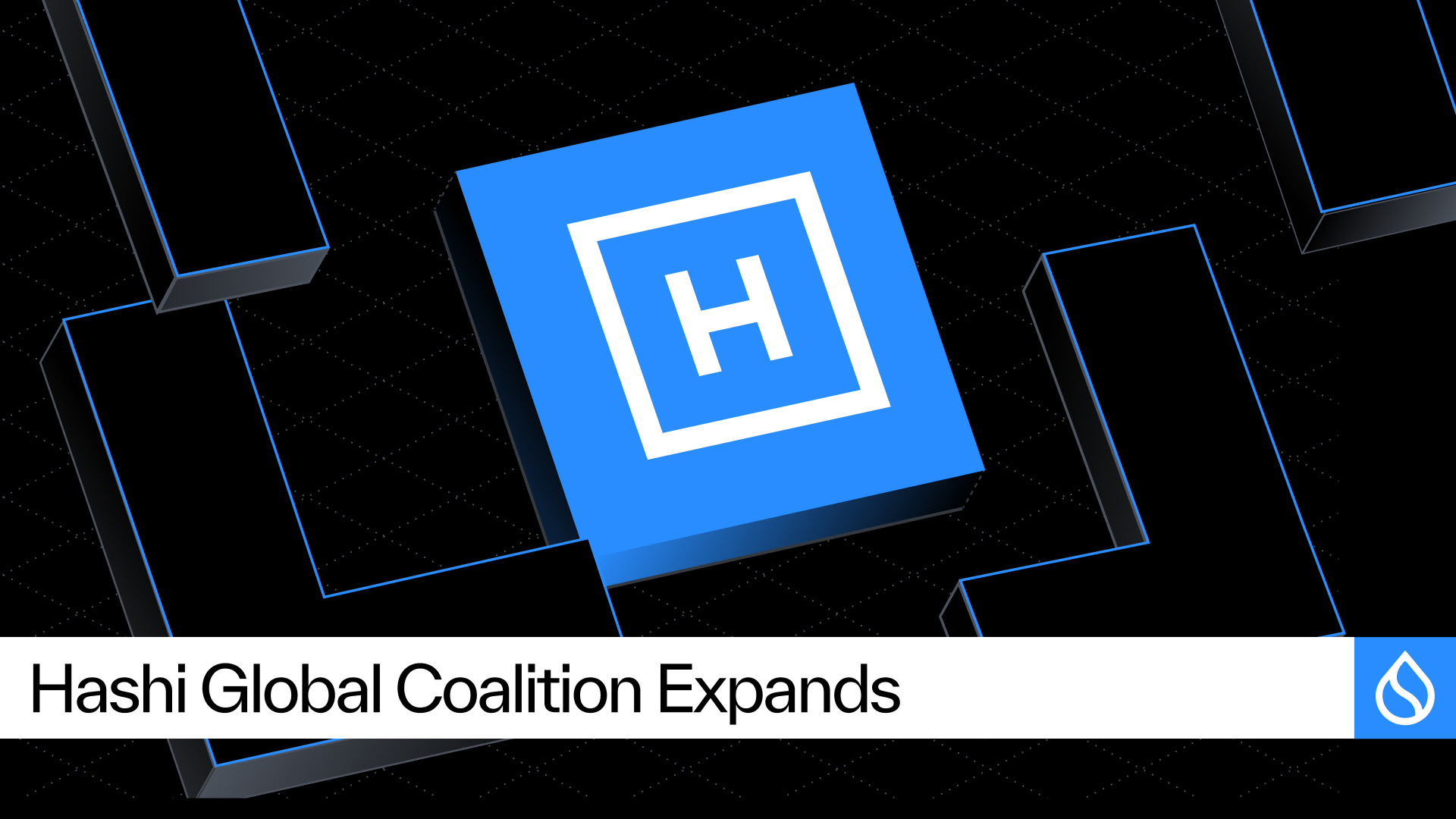 Sui Adds Cumberland, Fluid, and SwissBorg to Its Hashi Coalition Ahead of July Testnet Launch