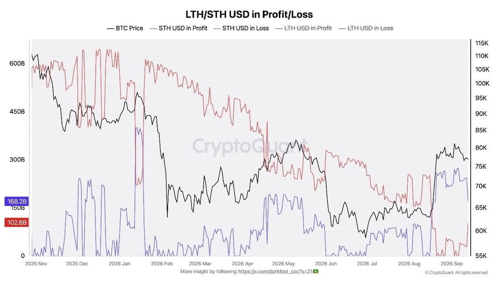 Bitcoin Could Be in Early Bull Market, Willy Woo Says With 90% Odds