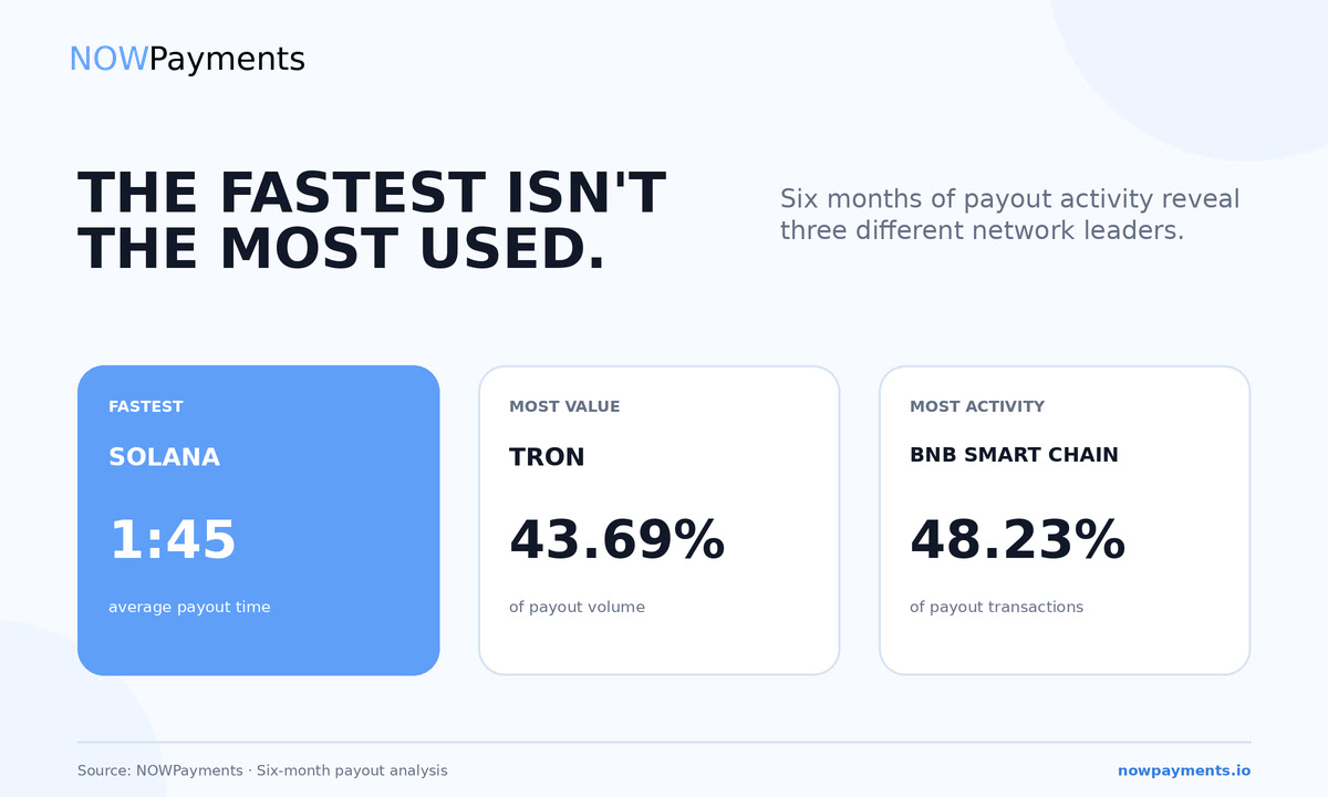 NOWPayments Releases Cross-Chain Payout Data With Performance Benchmarks Across TRON, BNB Chain, and Solana