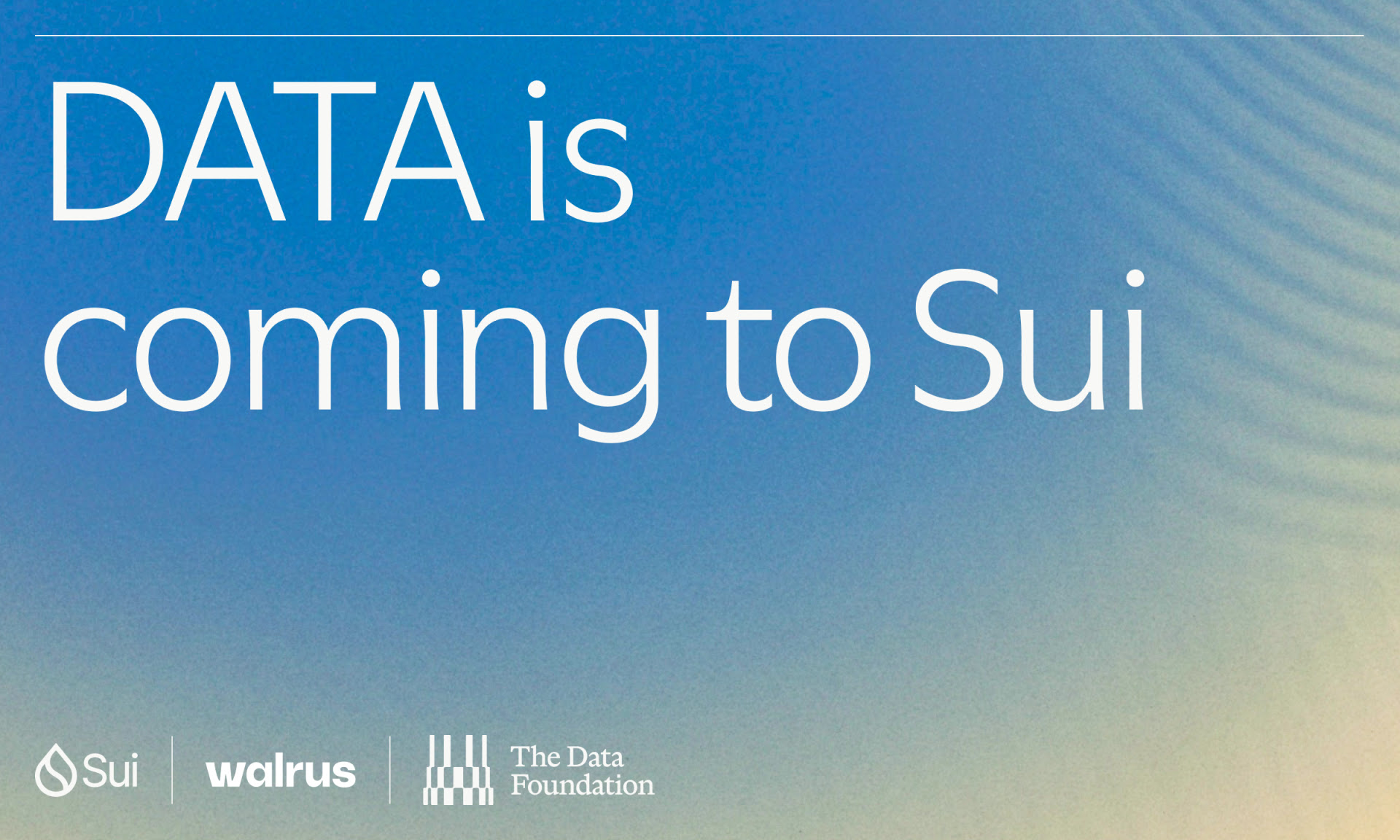 DATA Network Joins Sui and Walrus to Scale the AI Training Data Supply Chain